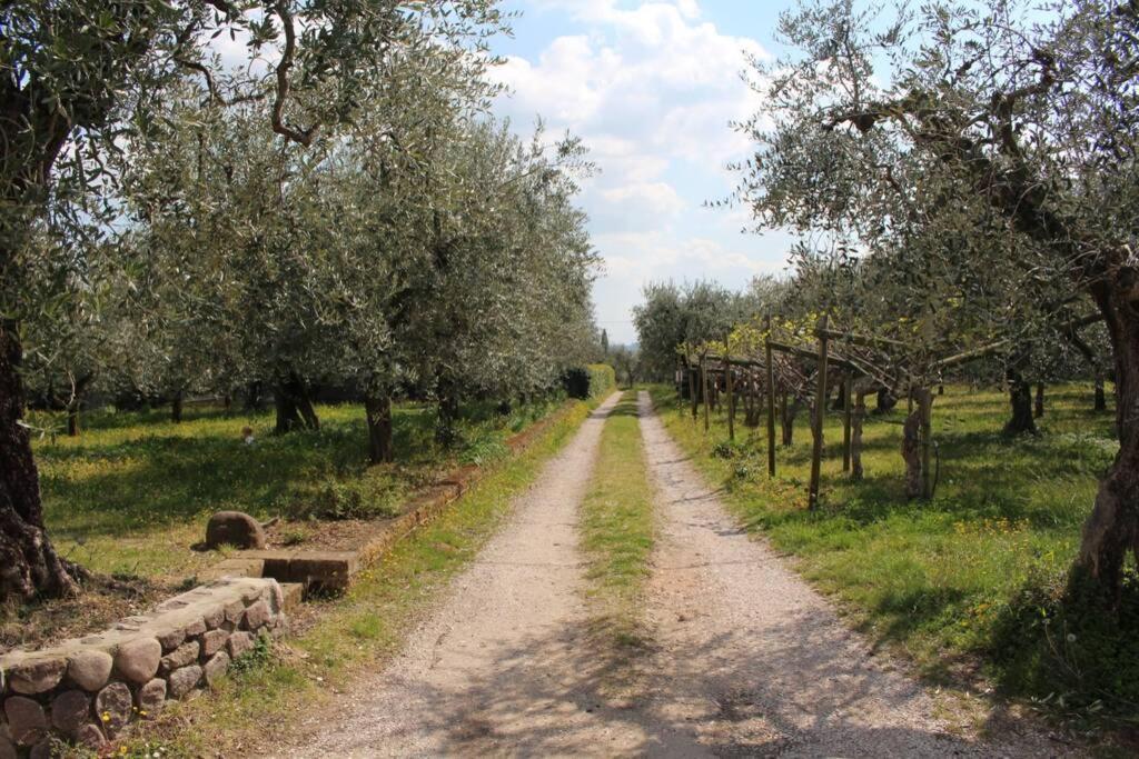 Appartamento Casa tra gli Olivi Bardolino Esterno foto