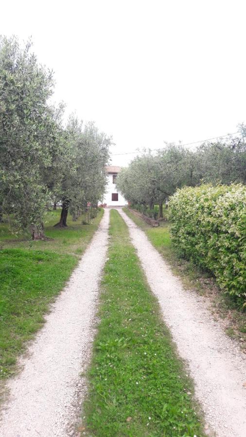 Appartamento Casa tra gli Olivi Bardolino Esterno foto