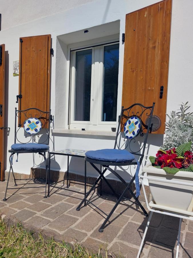 Appartamento Casa tra gli Olivi Bardolino Esterno foto