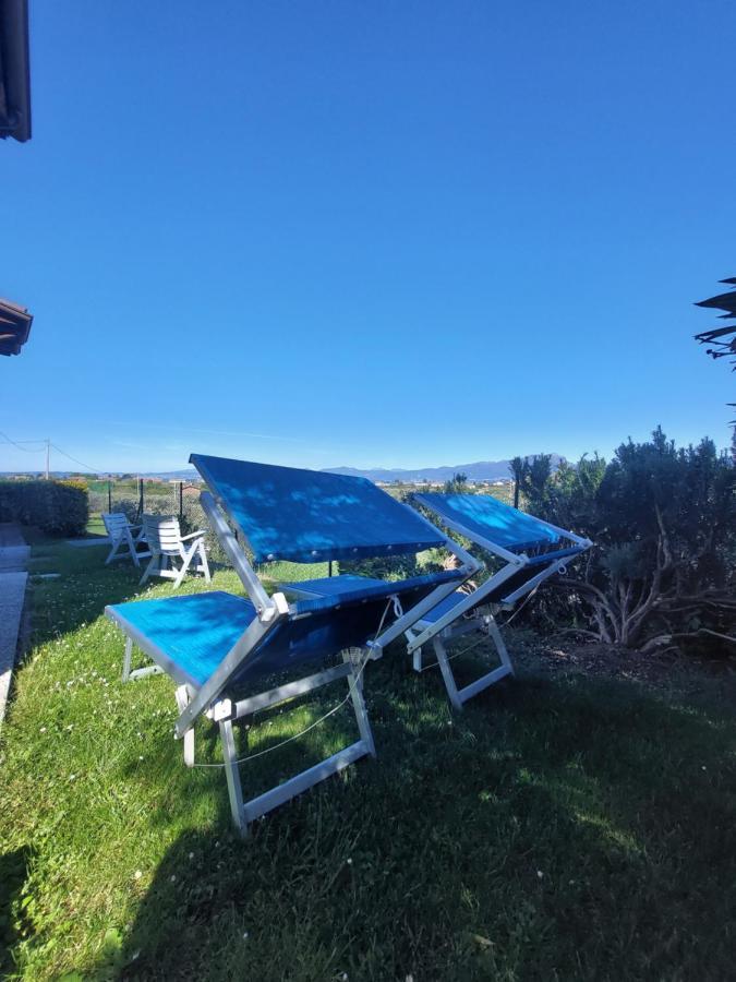 Appartamento Casa tra gli Olivi Bardolino Esterno foto